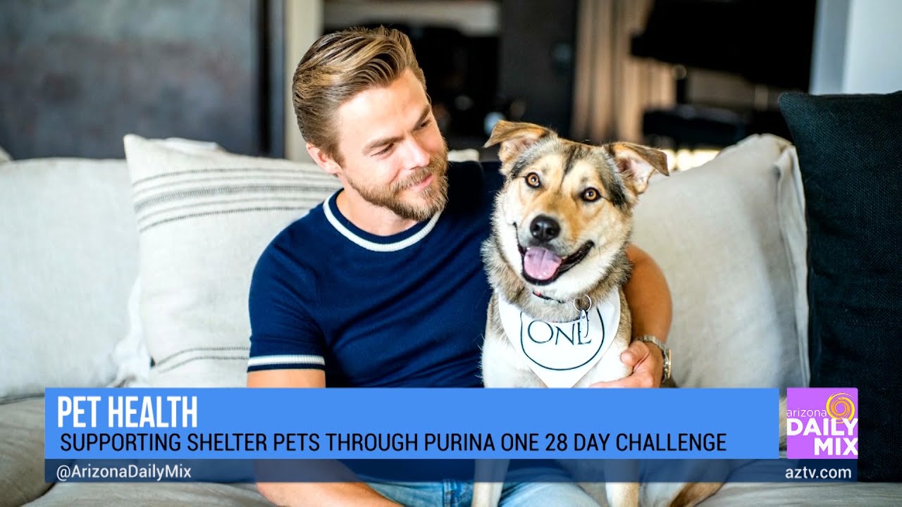 Purina One 28 Day Challenge with Derek Hough