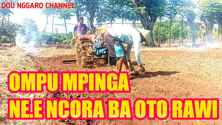 LUCU OMPU MPINGA NE E NCORA BA OTO RAWI
