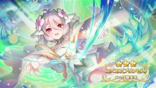 princess Connect Redive Princess Kokkoro  Union Burst And 2d