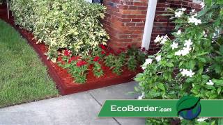 EcoBorder in 30 Seconds