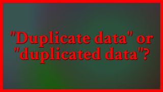 The difference is subtle, but in this case, Duplicate Data would be preferred. I would interpret ...