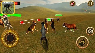 Dog Survival Simulator: Dobermann Defeat Bulldog - Android Gameplay screenshot 3