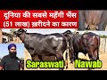 World's Expensive Buffalo Saraswati 🥇🥇🥇Watch Pavitra Bhai's Farm For The First Time on YouTube