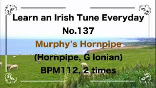 137 Murphy's Hornpipe (Hornpipe, D Ionian)