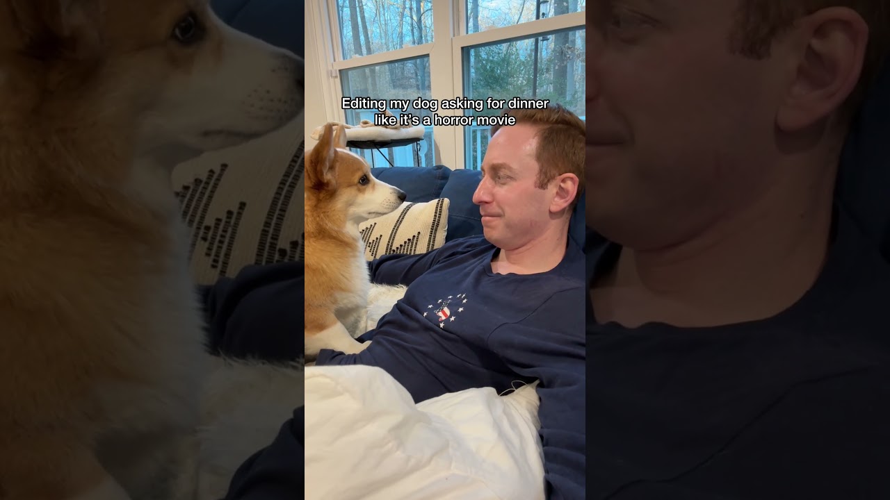 “An edge of your seat thrill ride”