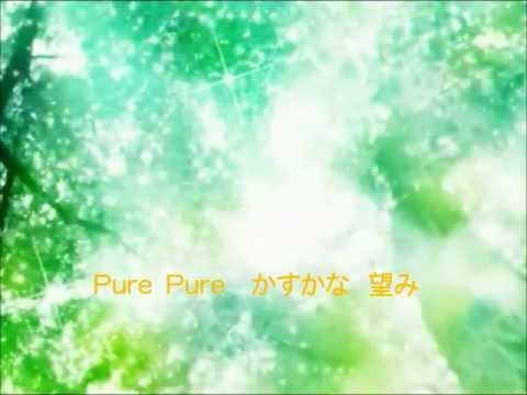 Pure-HANZO