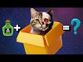 Como o GATO de SCHRÖDINGER Está VIVO e MORTO ao mesmo tempo? - ENTENDA