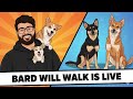 Bard Will Walk is live! Morning Routine | 11 Dec 2025