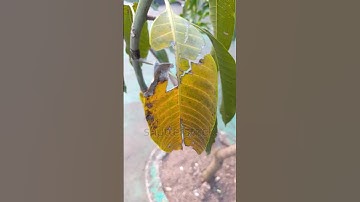 Bulk SMS Blast|Telegram:my911sms