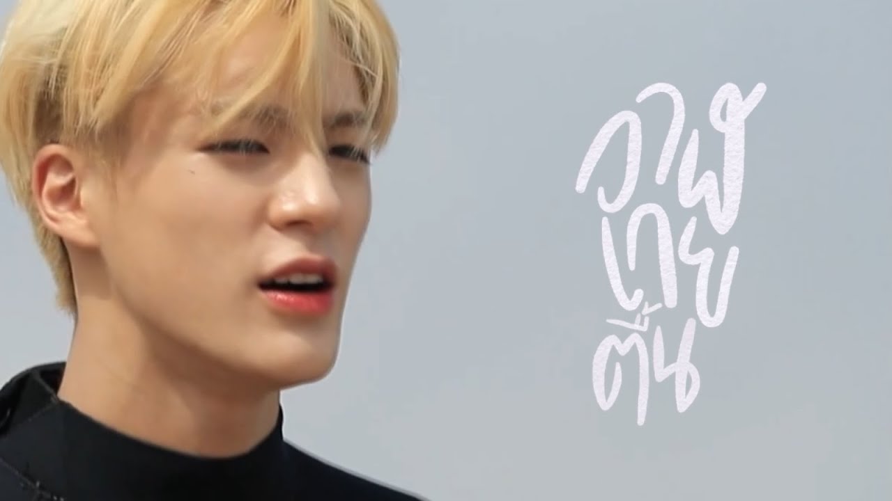 วาฬเกยตื้น opv I noren I