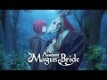 A Walk Through the Woods | The Ancient Magus' Bride