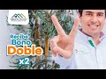 ¡Obtén Doble Bono Familiar! - Simbilá Verde