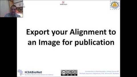 IBT 2017: S2 Lec4 From your favorite Aligner to Jalview 2017