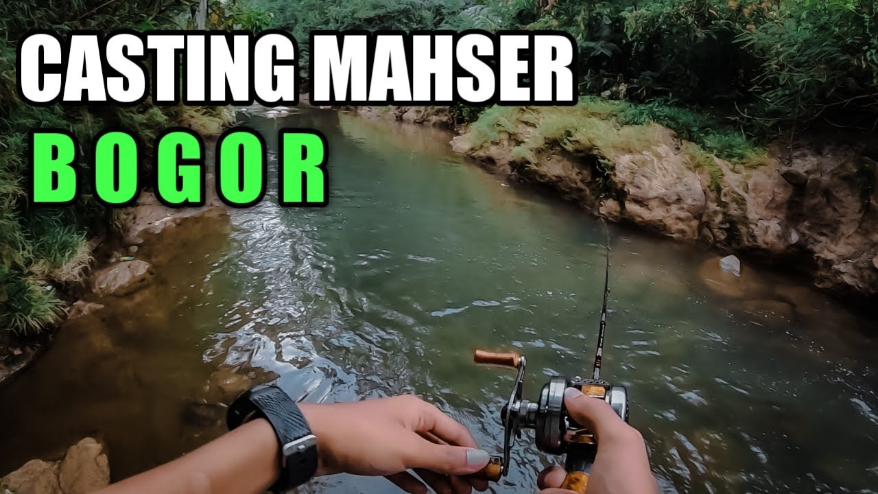 Disinilah Habitat Ikan Mahser Bogor || Casting Mahser,Tor,Soro Bogor
