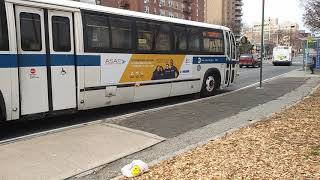 One last time: Mta novabus RTS on the B6