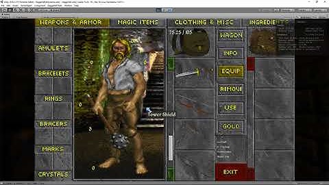 Daggerfall Ambidexterity showcase: All Weapon/Equip States Showcase