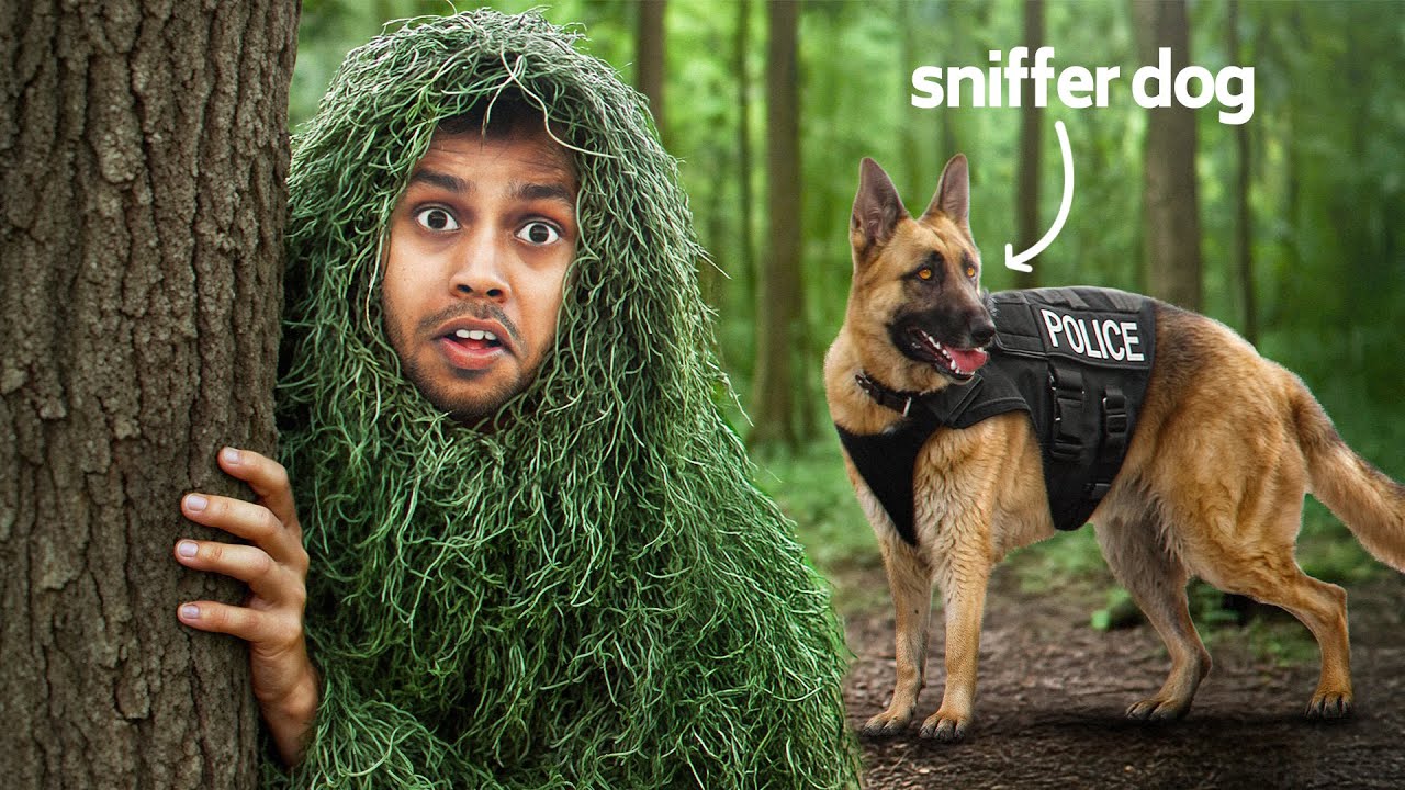Can I Escape an Army sniffer Dog?