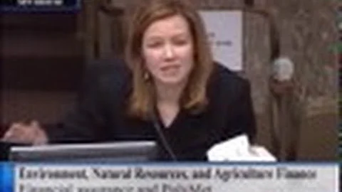 Kathryn Hoffman MCEA Attorney Polymet Financial As...