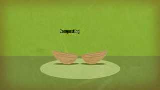 The Compost Crew 2015: In a Nutshell