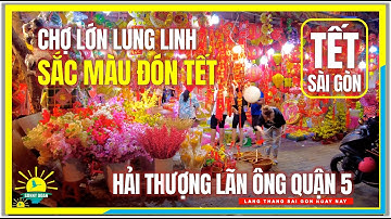 CHỢ LỚN LUNG LINH SẮC MÀU ĐÓN TẾT / Phố Đêm Hải Thượng Lãn Ông Quận 5 / Chợ Lớn Sài Gòn Ngày Nay