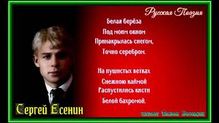 Белая берёза , Сергей Есенин , Русская Поэзия  ,читает Павел Беседин