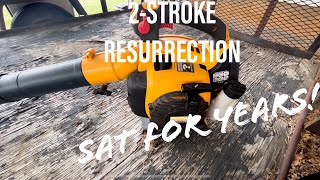 How-to: Replace a 2-stroke fuel system - SAT FOR YEARS!!!