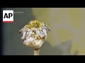 Diamond worth more than $7 million up for auction in Geneva