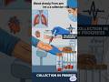 How blood groups tested or determined in the lab ? #science#medical #neet##short#shorts