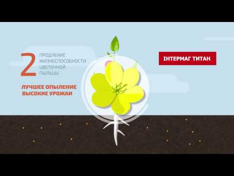 IНТЕРМАГ-ТИТАН  RU