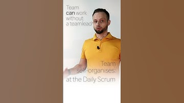 NO managers? Yes, the Team can SELF-ORGANIZE, e.g. during the Daily Stand-up meeting