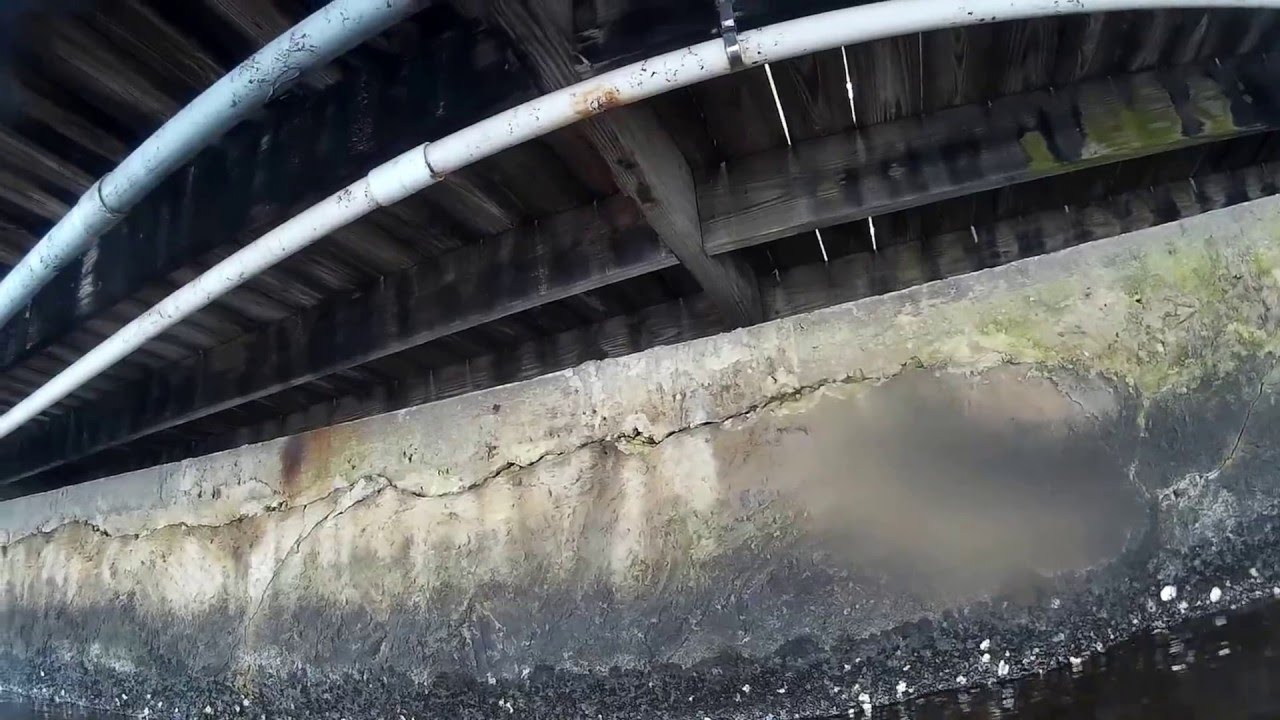 Sea Me Dive  Marina Seawall Inspection