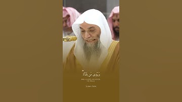 تلاوة مباركة خاشعة بصوت يلامس القلوب #القران #اكسبلور #المصحف #خطبه #لايك #حالات_واتساب #راحة_نفسية