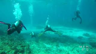 Florida Keys Diving