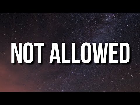 Tv Girl - Not Allowed (Lyrics) You don't know how long I could start into your picture [TikTok Song]