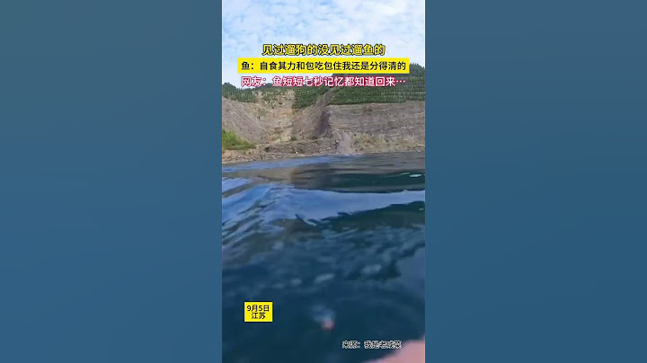第一次见到遛鱼的 网友：鱼短短七秒记忆都知道回来，她却没回来…