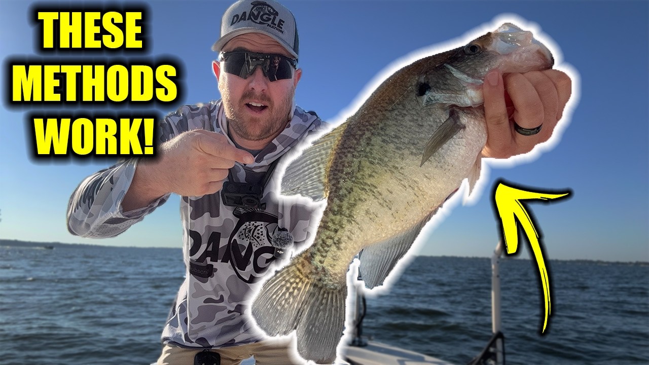 SPAWNING Crappie TECHNIQUES using LIVESCOPE!!