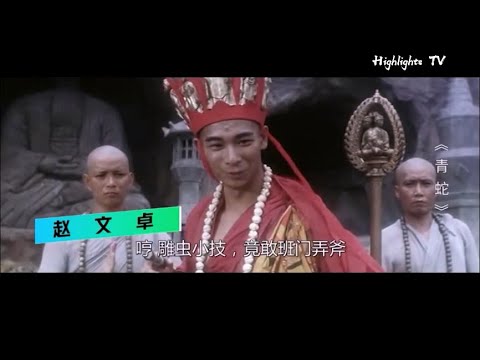 电影中不能惹的五大反派角色，披袈裟的赵文卓，穿官服的甄子丹丨donnie yen