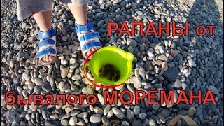 Как достать рапана из ракушки. Способ от бывалого моремана