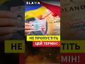 НЕ ПРОПУСТІТЬ ЦЕЙ ТЕРМІН! Частині українців у Польщі треба оновити PESEL