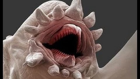 GOANIMATE CRINGE COMPILATION [#1]