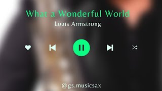 Louis Armstrong What A Wonderful World (Performance sax)