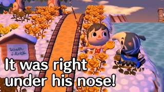 Antonios Lost Key / City Folk Moments #33 (Animal Crossing ACCF)