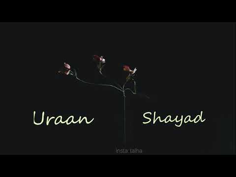 Uraan   Shayad   Raffey   Usama   Ahad Lyrics Video  Talha Writes