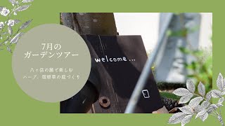 【ガーデニングvlog】八ヶ岳の麓のハーブ・宿根草のガーデニング