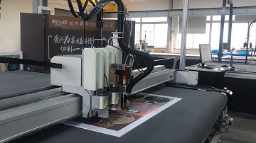 IECHO Cutting machine with Over-table CCD camera for registration cutting for printed materials.