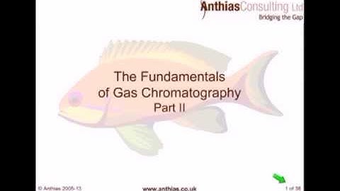 Fundamentals of GC, Part 2