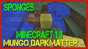 Minecraft  -  How to Use Sponges in Minecraft