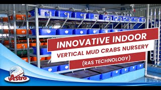 Innovative Indoor Vertical Mud Crab Nursery (RAS Technology)