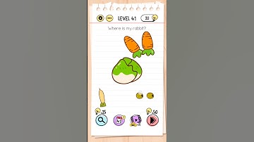 Where Is My Rabbit? Level 41 Brain Test