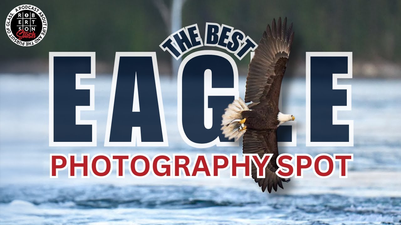 You Won't Believe the EPIC Eagle Encounters at This Remote Canadian Lodge! | Sam Anderson